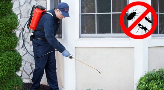 Hayrat Bit İlaçlama böcek ilaçlama ve haşere kontrolü — ilaclama-tr.com